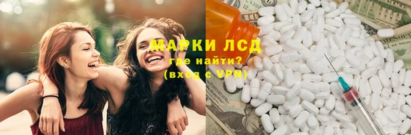 индика Нефтекумск