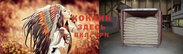 дживик Нея