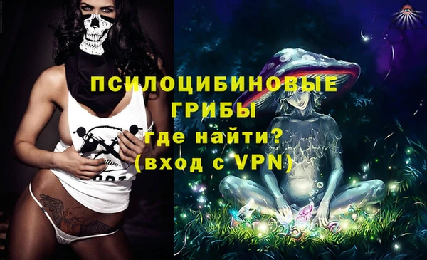 дживик Нея