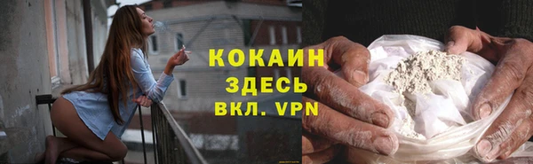 дживик Нея