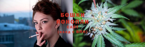 дживик Нея