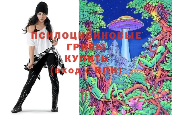 дживик Нея