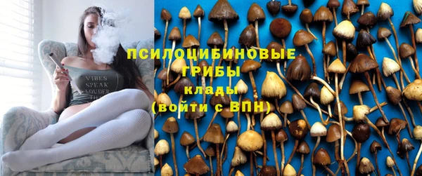 индика Нефтекумск