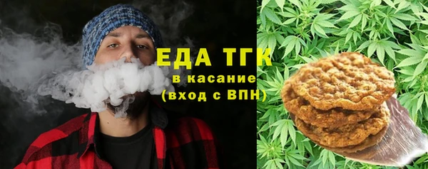 индика Нефтекумск