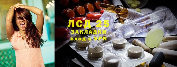 индика Нефтекумск