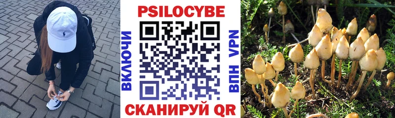 Галлюциногенные грибы MAGIC MUSHROOMS Абакан