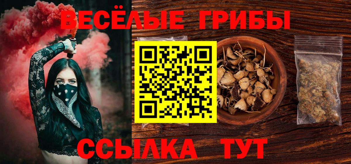 Абакан  Псилоцибиновые грибы Magic Shrooms  Вход с VPN  Псилоцибиновые грибы мухоморы 