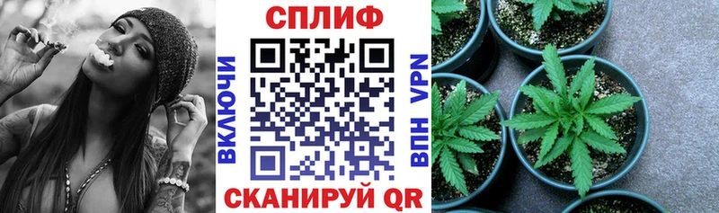blacksprut ССЫЛКА  Абакан  Бошки Шишки план  где можно купить наркотик 